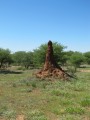 Namibia Hochzeit, Reise, Bilder, Fotos - img_6558.jpg